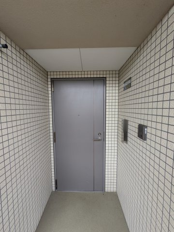 ＭＹＴ・ＰＡＲＡＣＩＯのその他