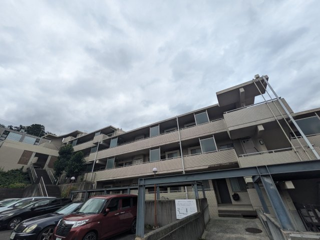 ＭＹＴ・ＰＡＲＡＣＩＯ
