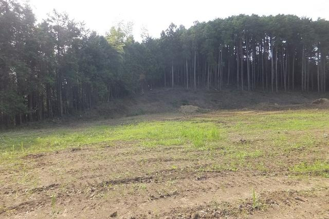 【外観】の画像