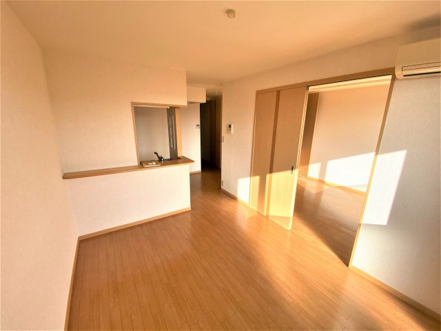 陶乃杜．Ａのその他