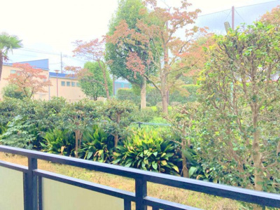 【展望】 | エレガンスチトセ