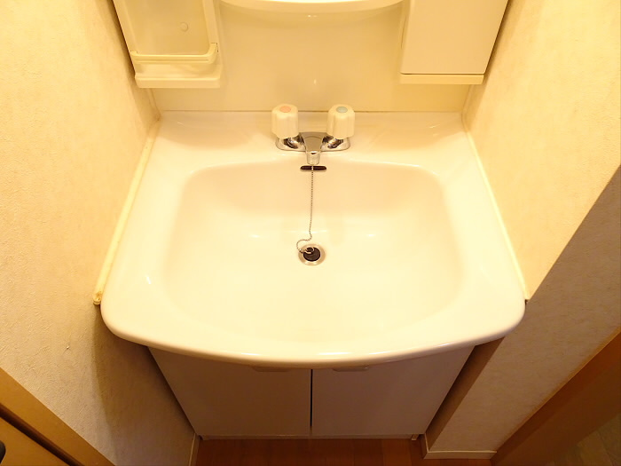 リーブラ桜上水の独立洗面台