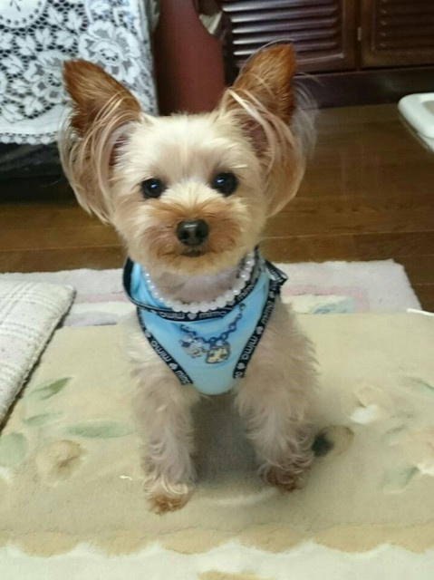 【その他】