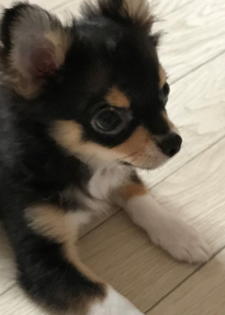【その他】