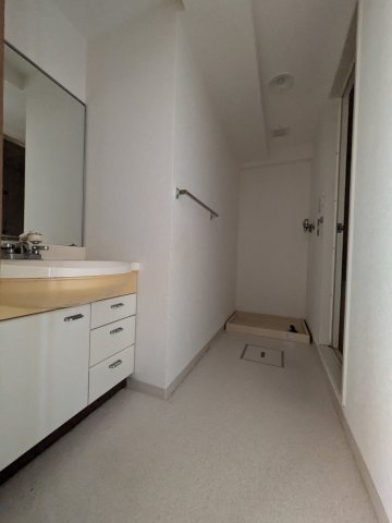 藤和シティコープ河辺Ⅱの洗面所