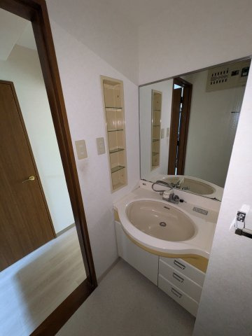 藤和シティコープ河辺Ⅱの洗面所