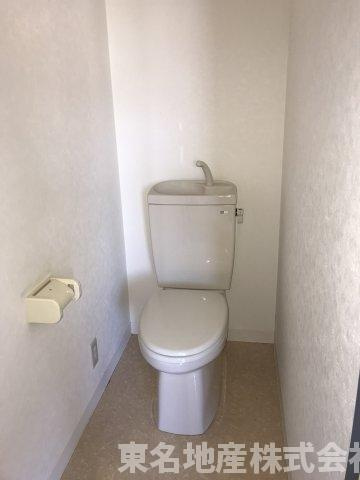 サンスポット