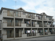 ロキシーモンターニュの画像