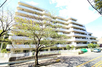 【外観】 | 大規模修繕履歴のある、とてもキレイな外観です♪