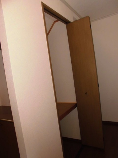 グリーンコーポCの収納