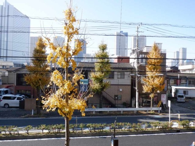 【展望】 | ルーブル武蔵小杉