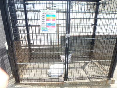 【その他共用部分】 | タウンフォルム武蔵小杉一番館