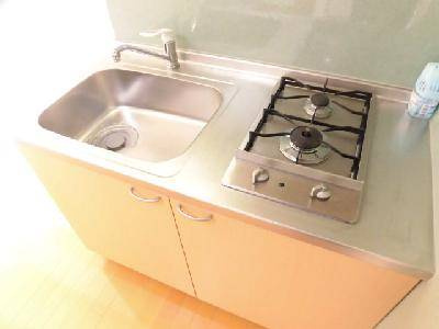 プロスペクト河原町五条のキッチン|二口ガスシステムキッチン