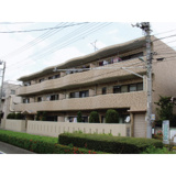 モアライフ芝の画像