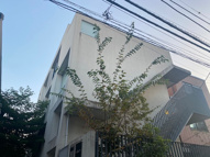 circoの画像