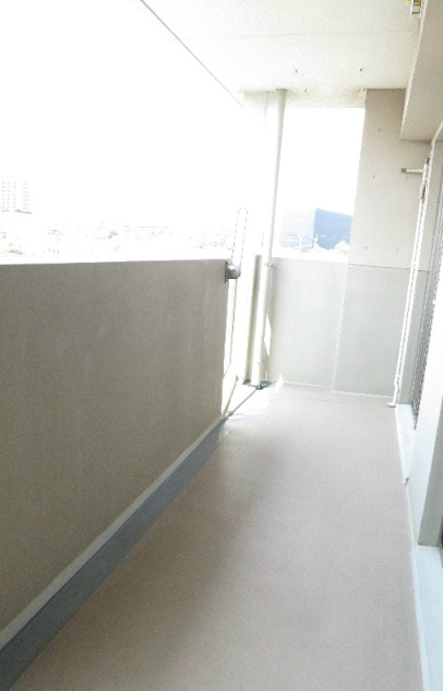 熊本市中央区新大江２丁目の賃貸マンションのバルコニー