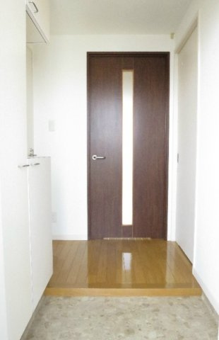 熊本市中央区新大江２丁目の賃貸マンションの玄関