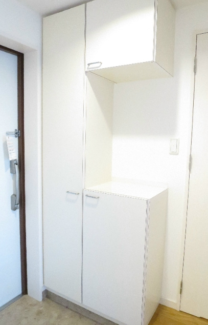 熊本市中央区新大江２丁目の賃貸マンションの玄関