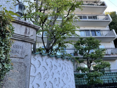 【外観】 | 芦屋アーバンライフ | 東側から建物外観