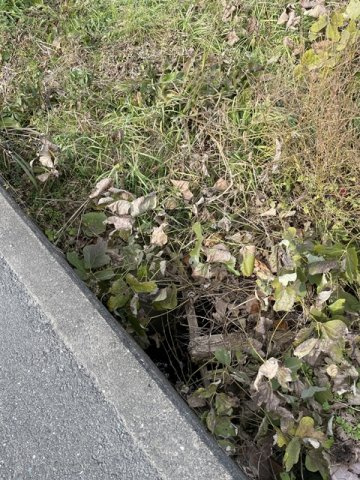 売地)八女郡広川町大字久泉字中牟田の外観