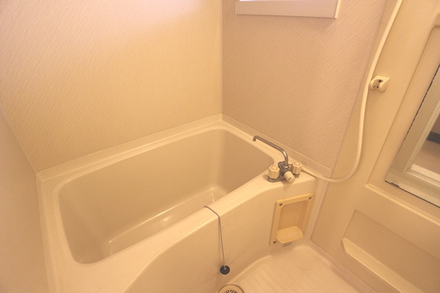 セゾンコート壱番館【キャッシュバック対象物件】の浴室