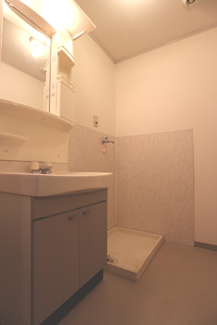 セゾンコート壱番館【キャッシュバック対象物件】の独立洗面台