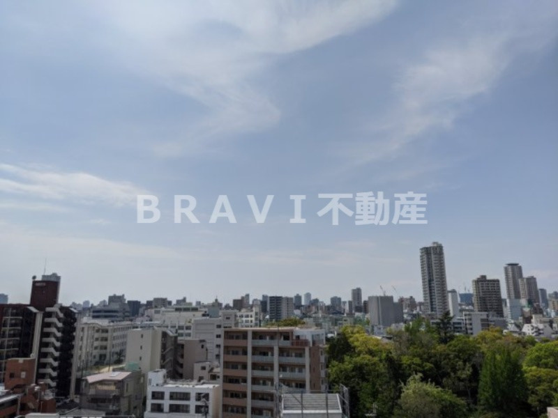 ヴィラ・セレーノ玉造本町　BRAVI不動産の展望|【ルネフラッツ玉造本町】眺望です