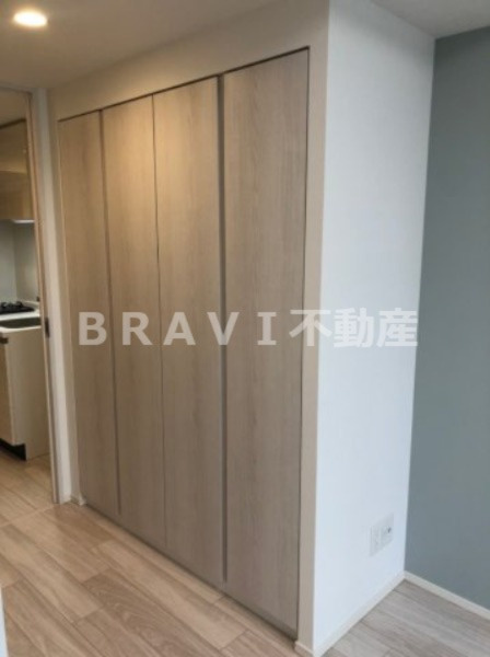 ルネフラッツ谷町四丁目　BRAVI不動産の収納|【ルネフラッツ谷町四丁目】収納スペースも充実しています