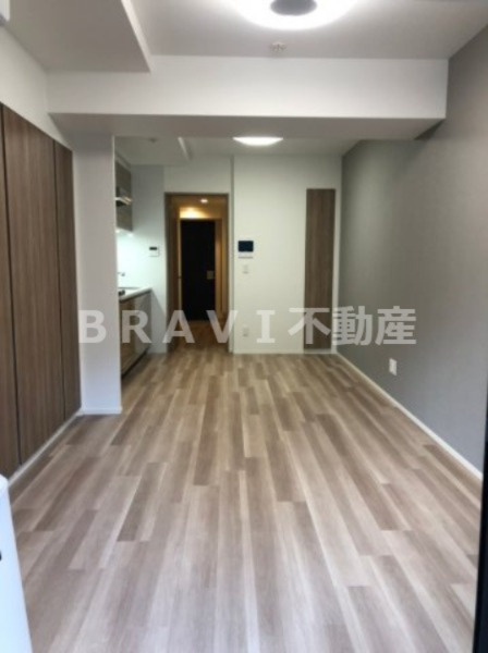 ルネフラッツ谷町四丁目　BRAVI不動産の居間・リビング|【ルネフラッツ谷町四丁目】こちらのリビングで趣味の時間をお楽しみください