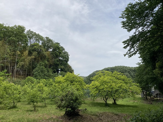 【展望】