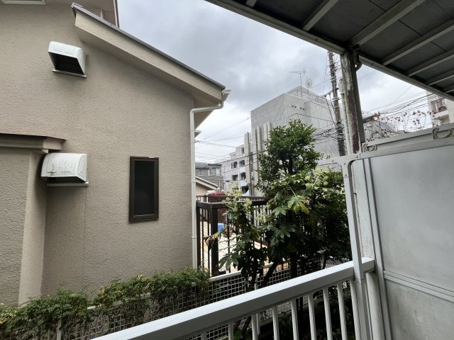 【展望】 | シュロス・マグノリア