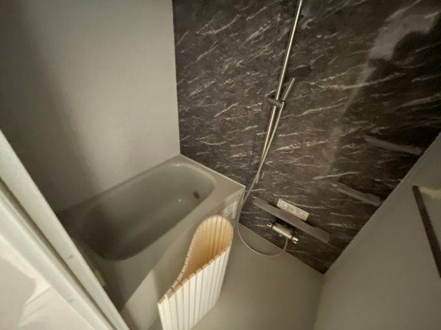 ファビュラス・レセンテの浴室