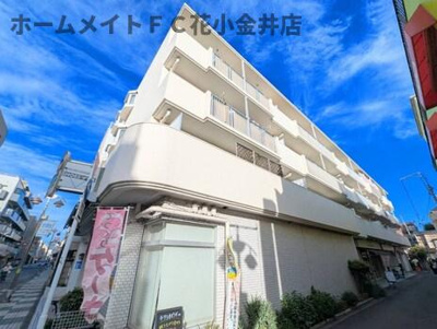  | ドミール八坂