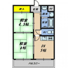 VIVA小山の画像