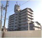 エフォールナガイの画像
