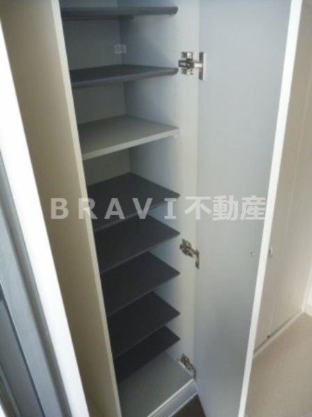 mosaique（モザイク）　BRAVI不動産の玄関|【mosaique】収納もある玄関です