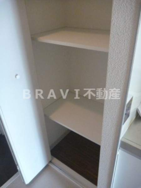 mosaique（モザイク）　BRAVI不動産の収納|【mosaique】収納のためのスペースです