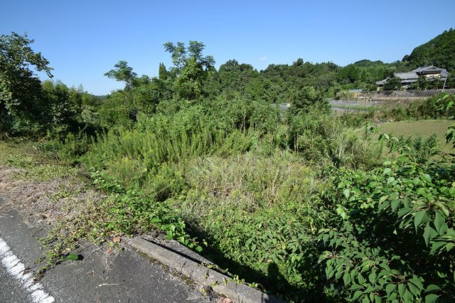 氷川町早尾土地の土地図