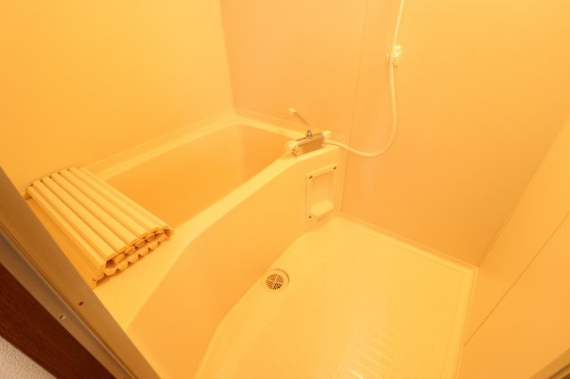 ラ・フォーレ峯の浴室