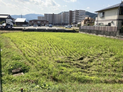 【外観】 | 柏原字菜モミ3179-1売土地