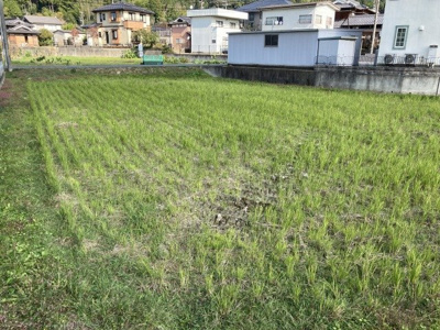 【外観】 | 柏原字菜モミ3179-1売土地