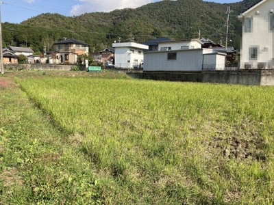 【外観】 | 柏原字菜モミ3179-1売土地