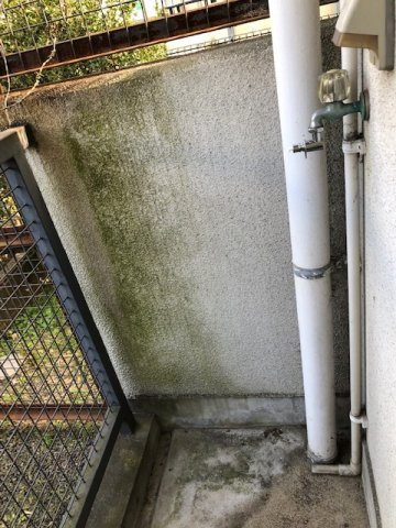 アルティスタの設備|室外洗濯機置き場
北向きです