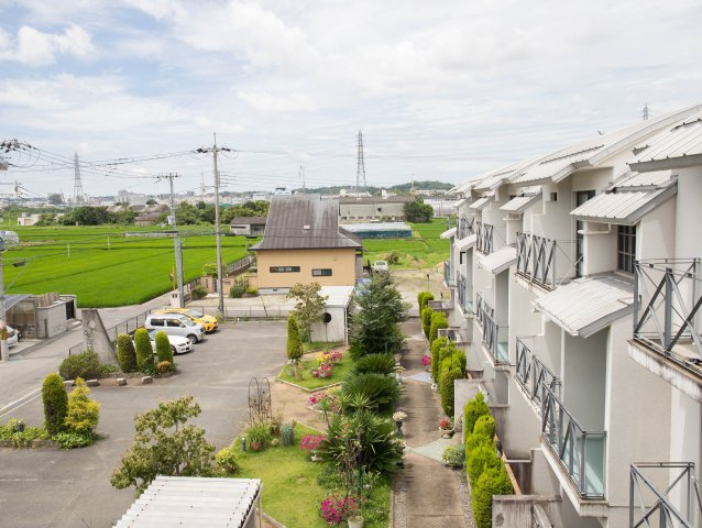 アルティスタ