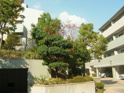 日商岩井芦屋ガーデンヒルズＣ棟の画像