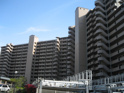 コート甲子園南1番館の画像