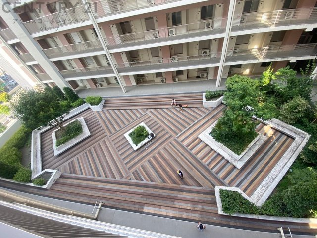中庭