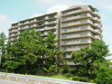 パラツィーナ仁川弐番館の画像