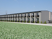 アンオゥルの画像