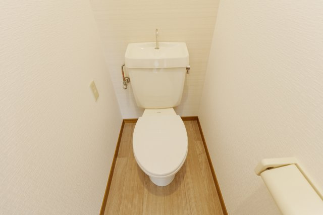 ラ・ドニスハイツのトイレ